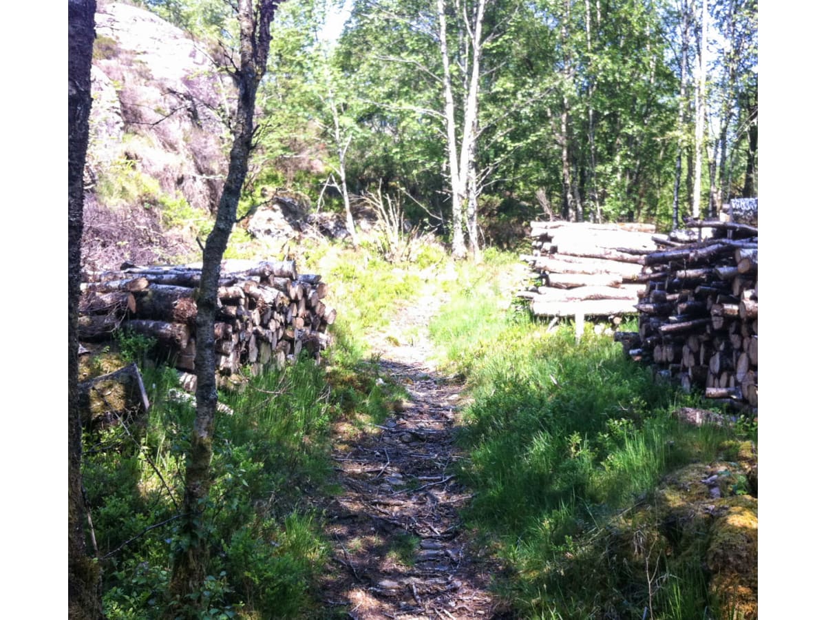 Sotra Arena Ebbesvik Gavlen