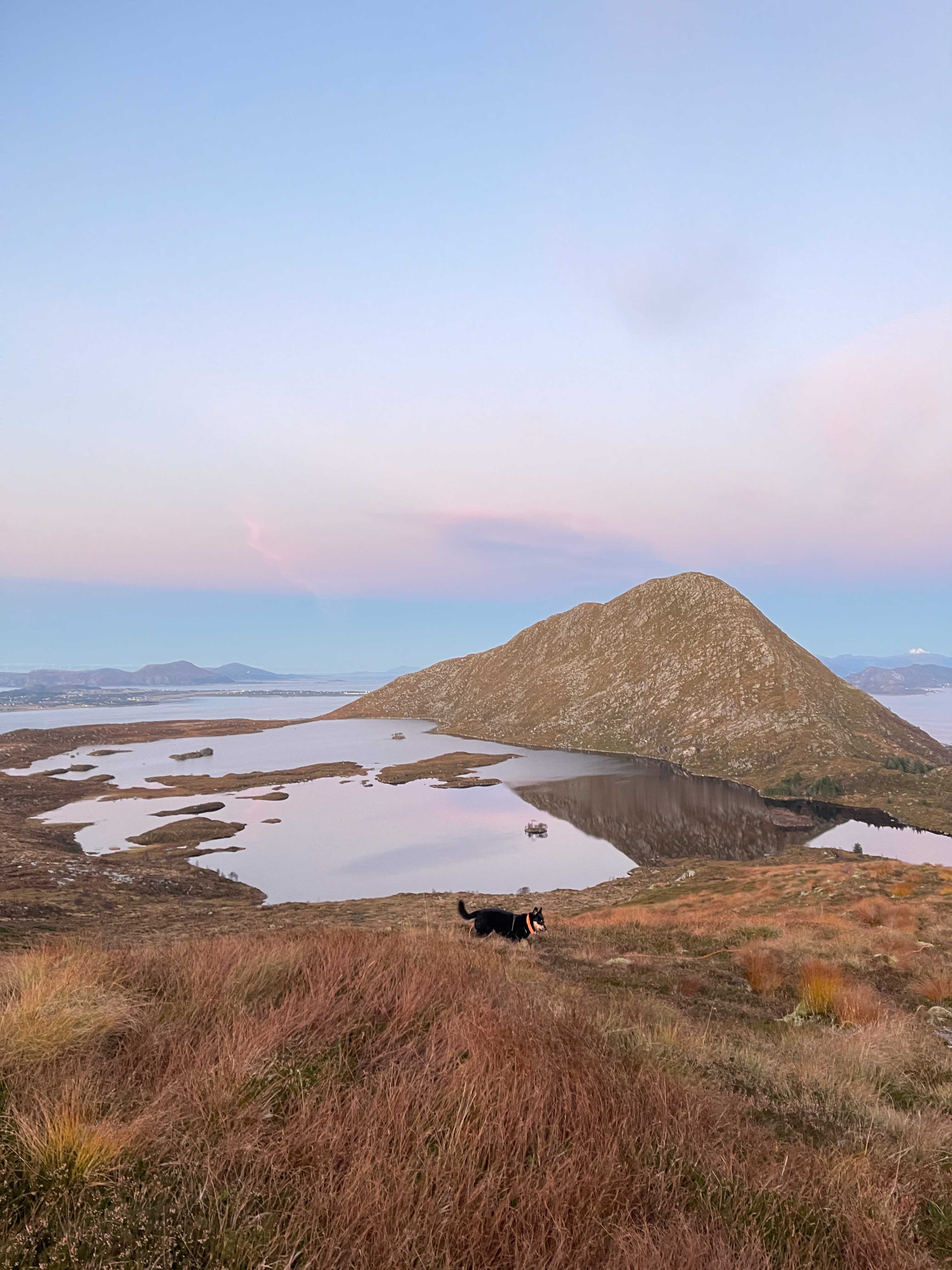 Fottur til Rantane fra Alnes — tilbake via Alnesvatnet