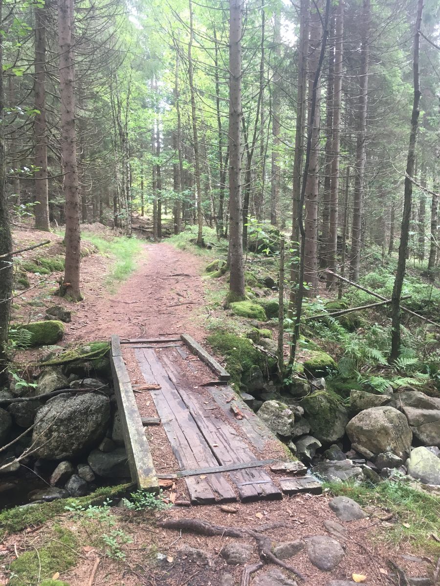 Variert tur via Skådane, Smååsan og Rampa (Vennesla)