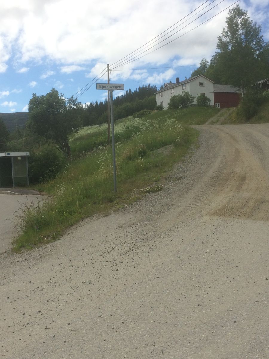 Sykkelruter I Selbu Rute Flora Roltdalen