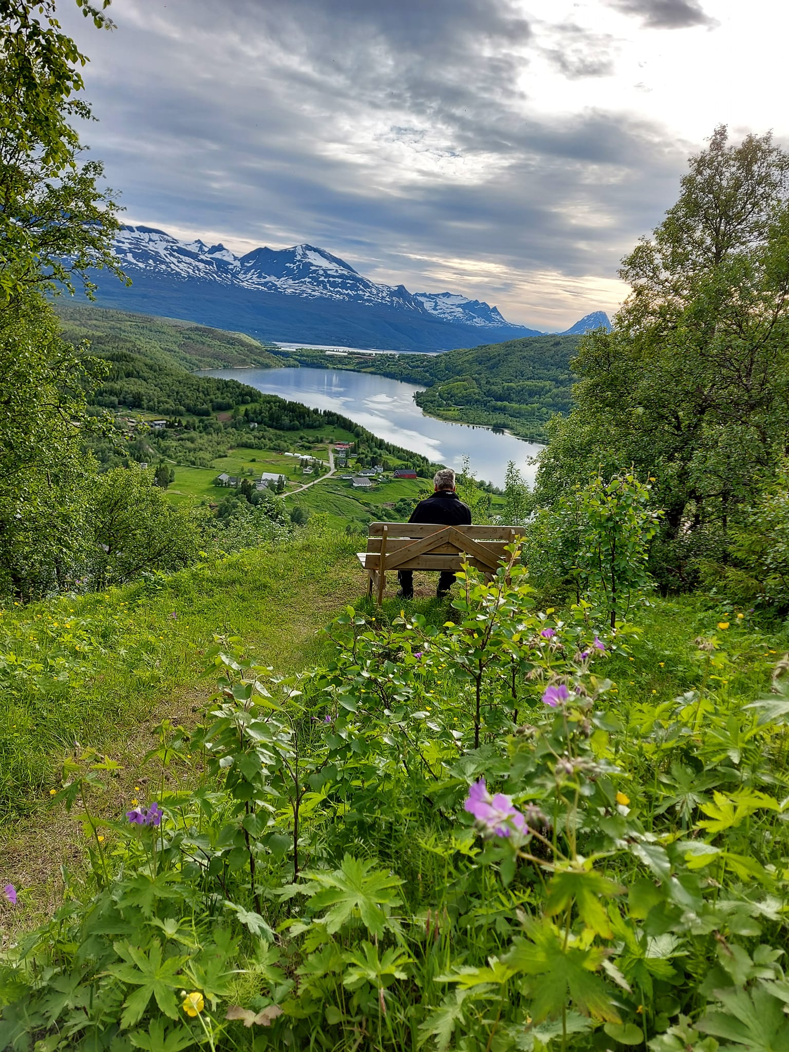 Flåget
