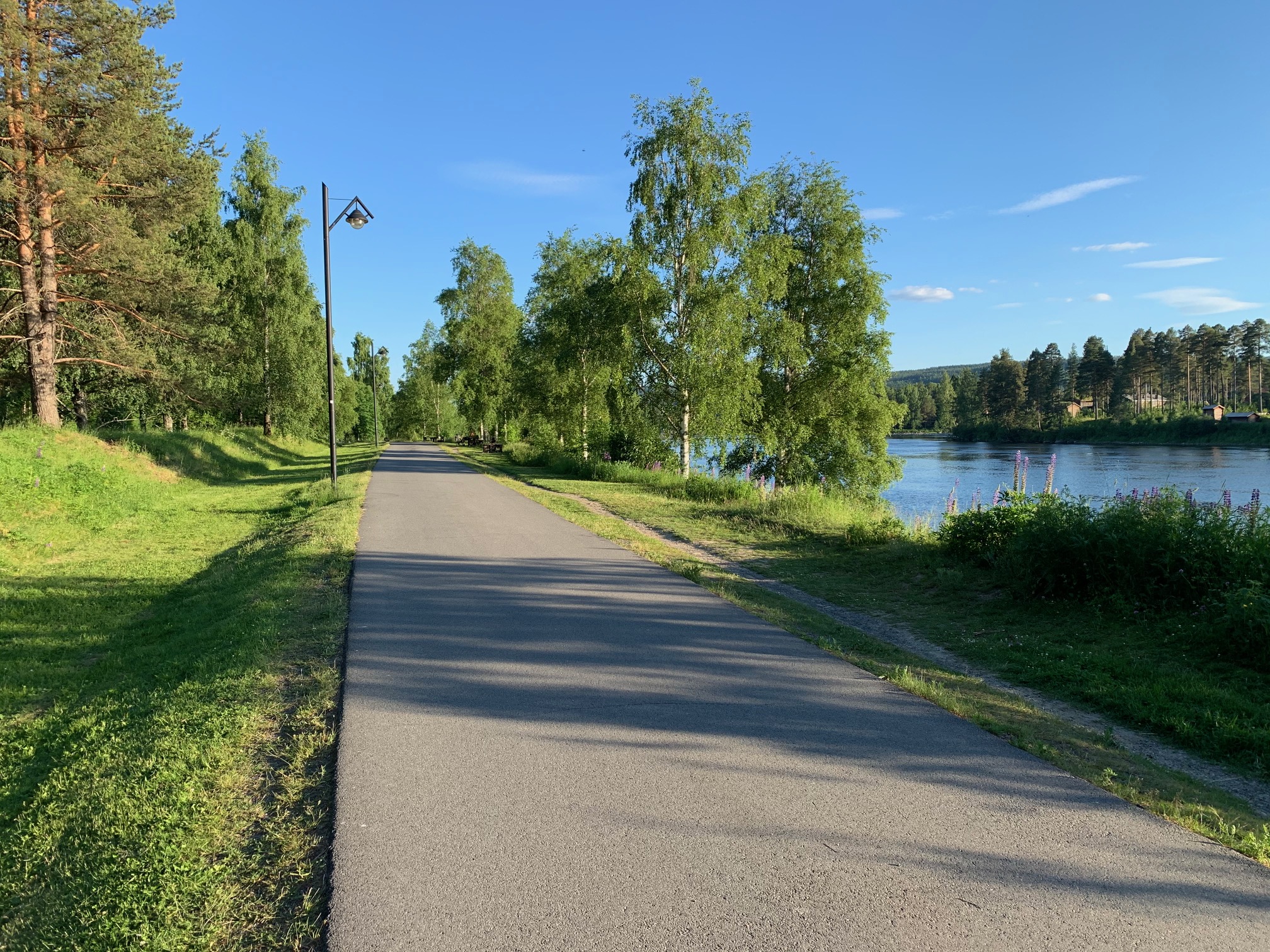Tlf Power Elverum