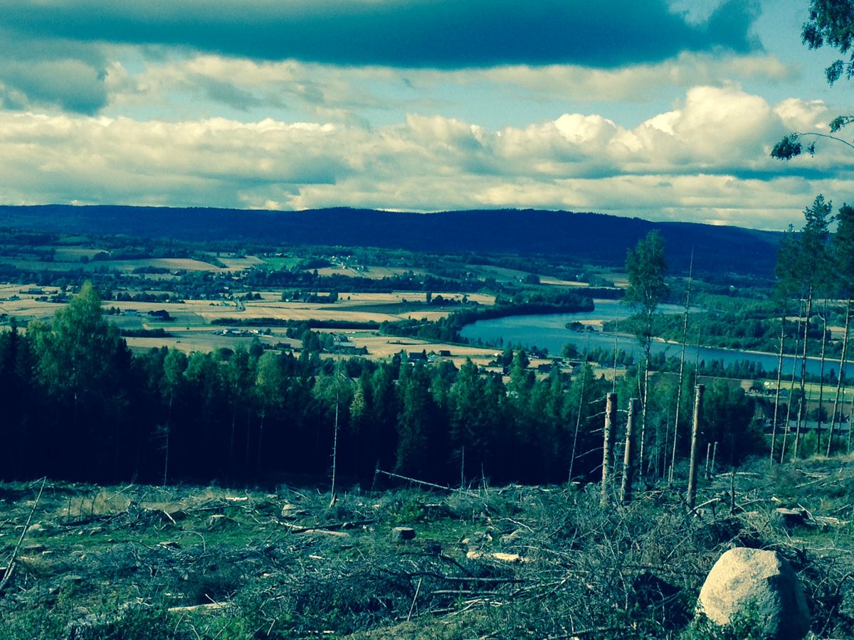 Topptur til Vardåsen (fra Kirkenær)