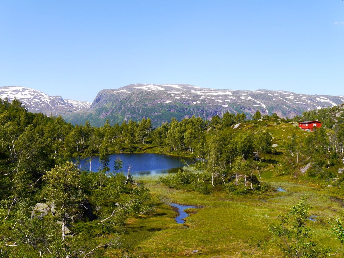 Røldalsvatnet på langs