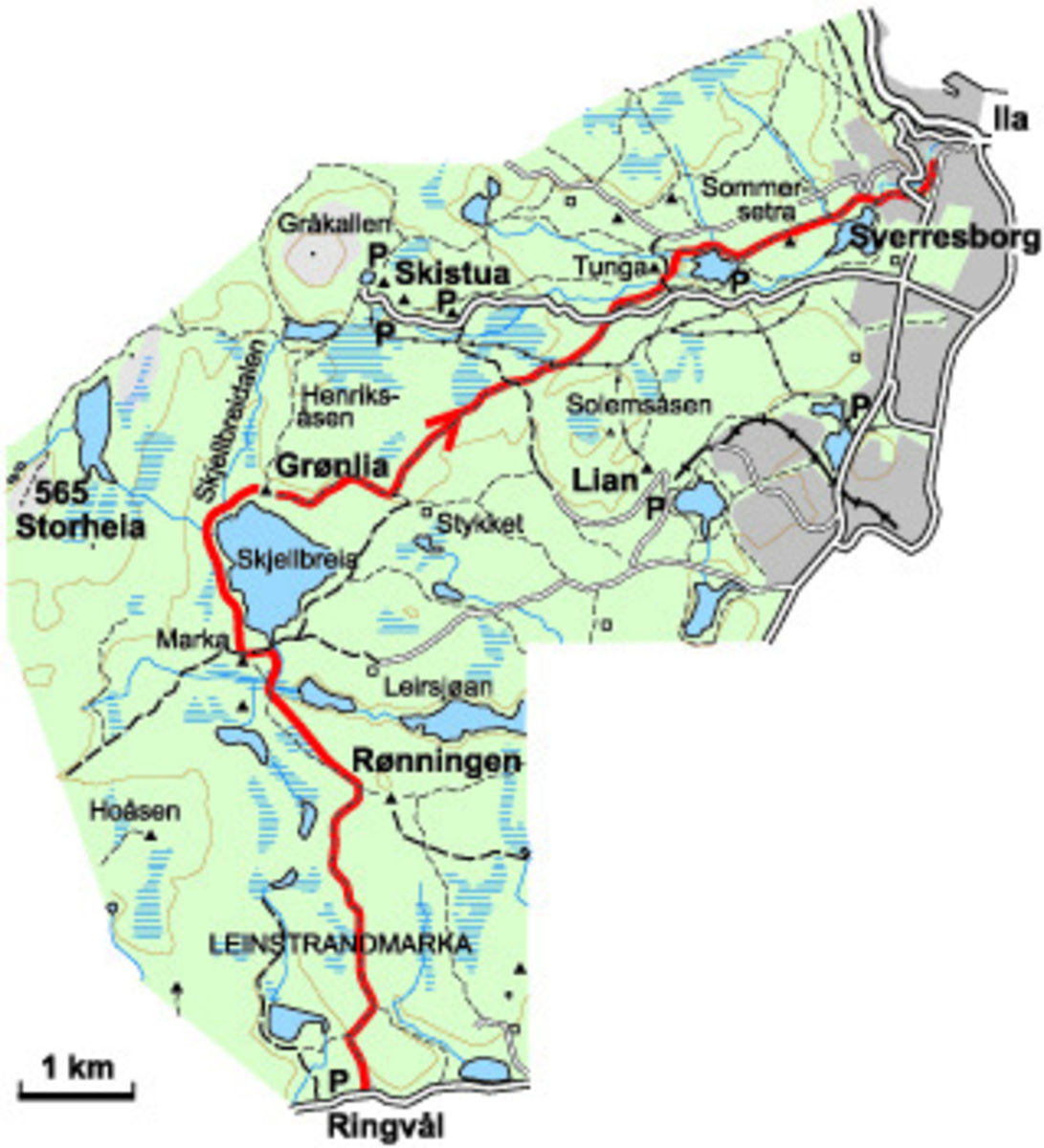 Fottur fra Ringvål til Trondheim sentrum gjennom Bymarka
