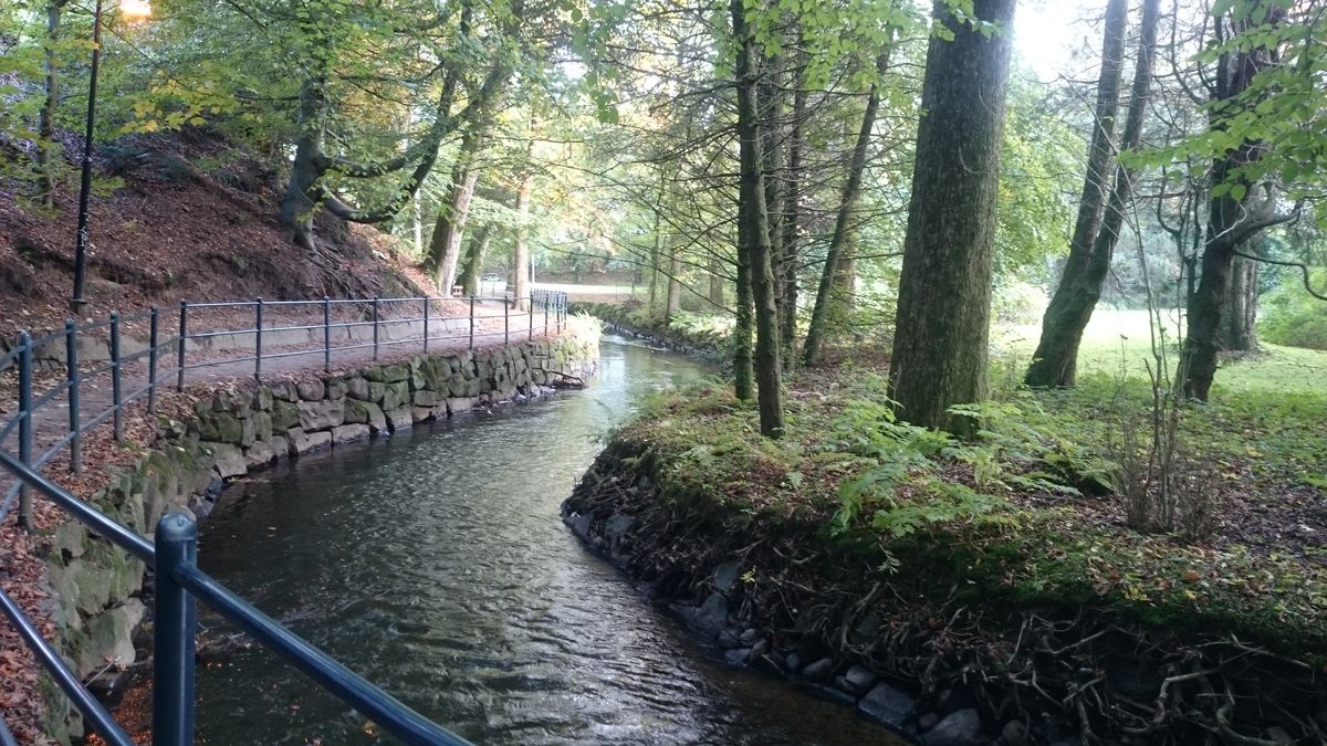lett-fottur-i-sandvedparken-rullestolvennlig
