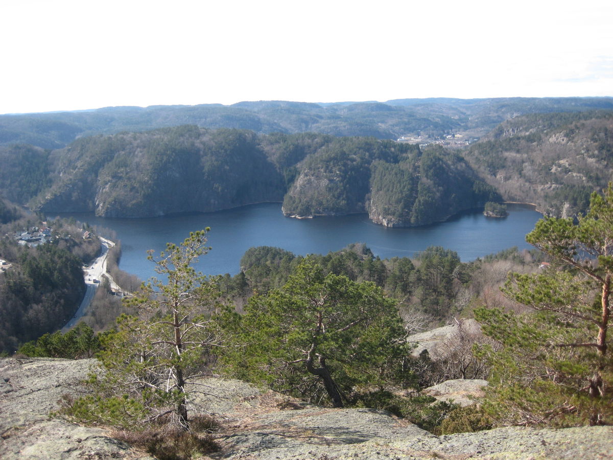 Songdalen topptur til Bukksteinen