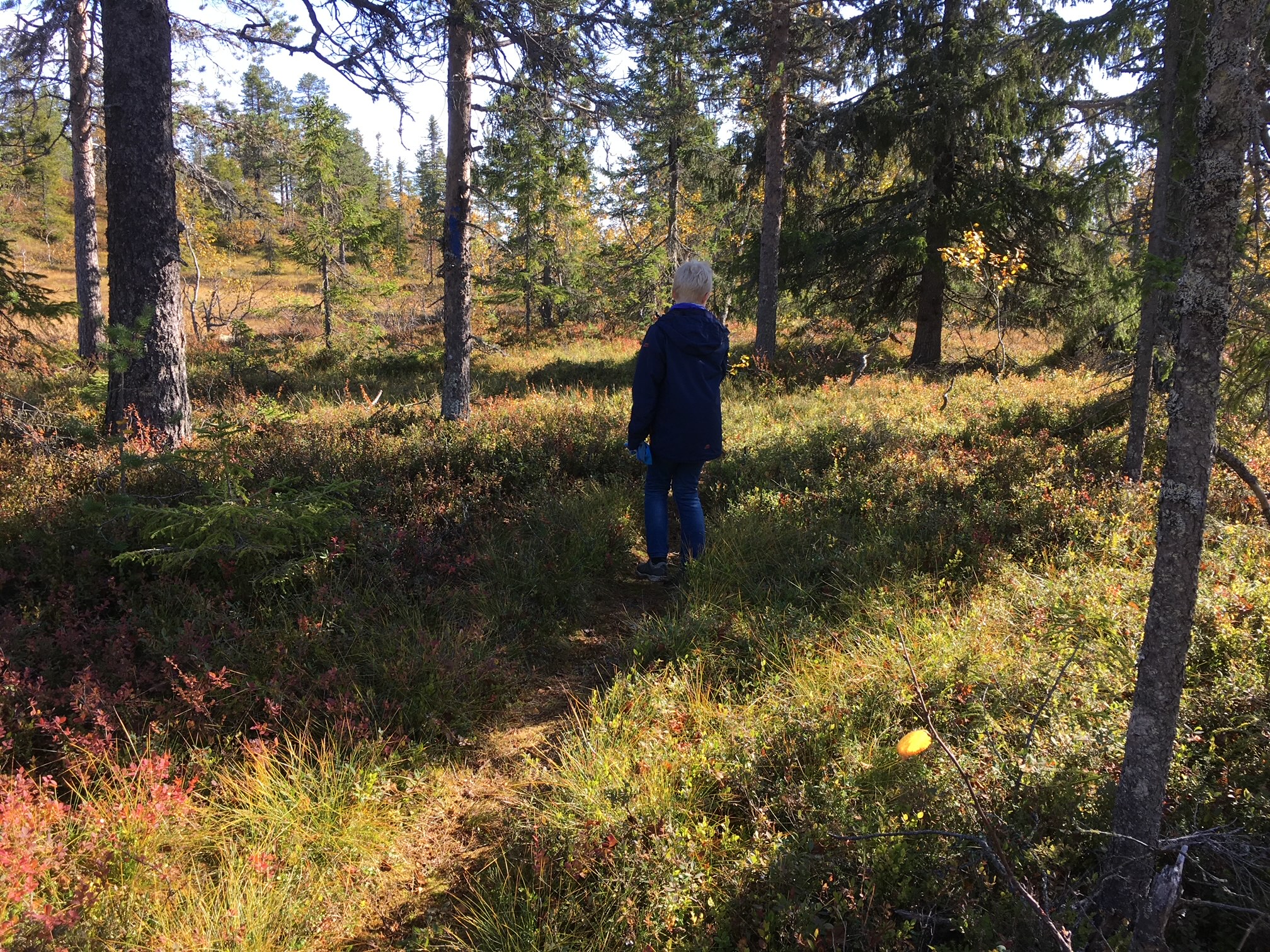 skallberget-kalbrenna