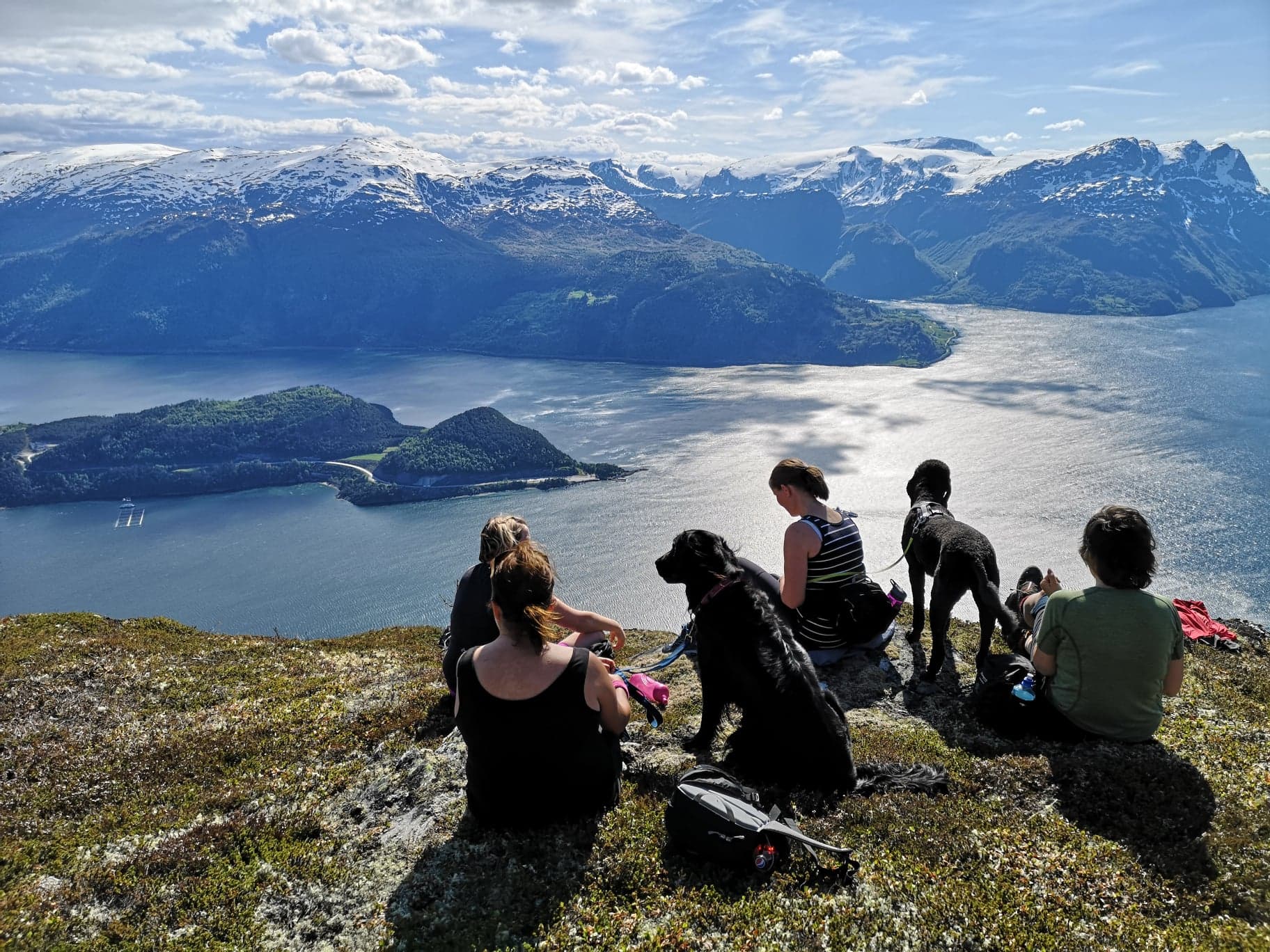 Topptur Til Lotsbergnibba 817 Moh I Stad Kommune