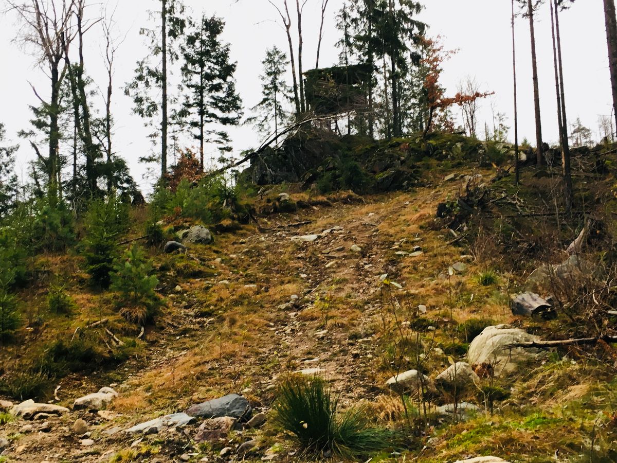Langtur fra lysløypa til rampa, Skådane, Steinåsen, Drivenesvannet ...