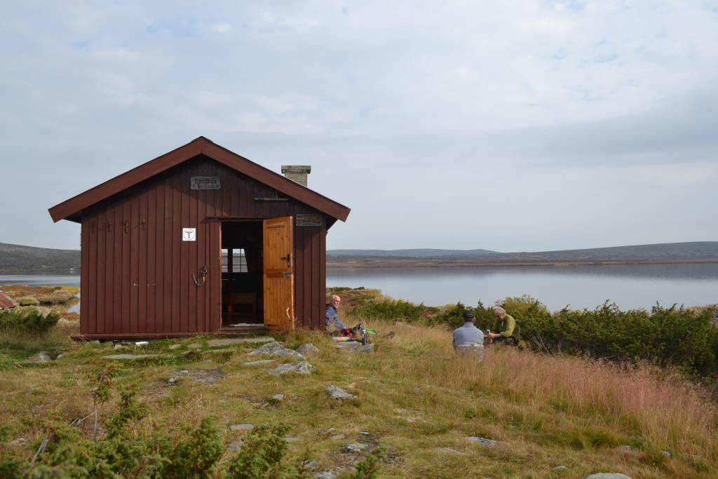 mainImage