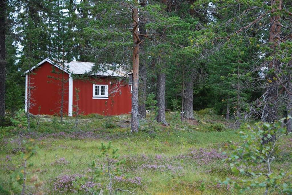 mainImage