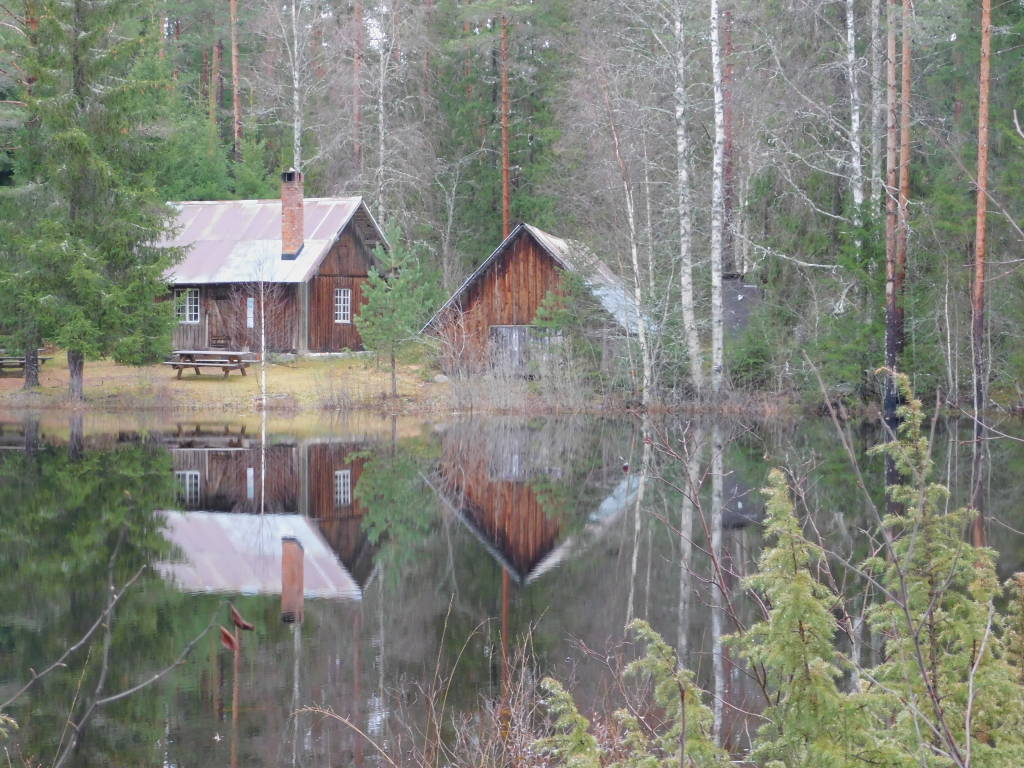 mainImage