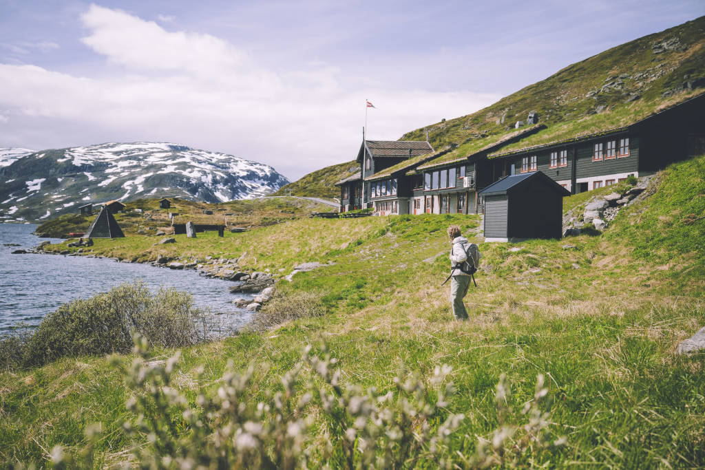 mainImage