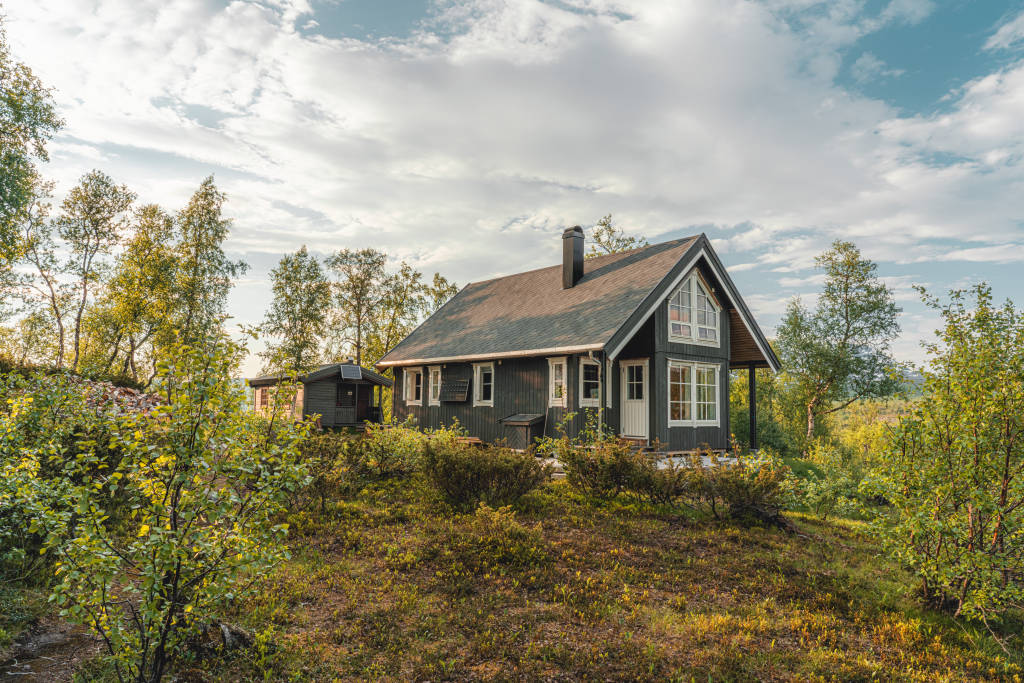 mainImage