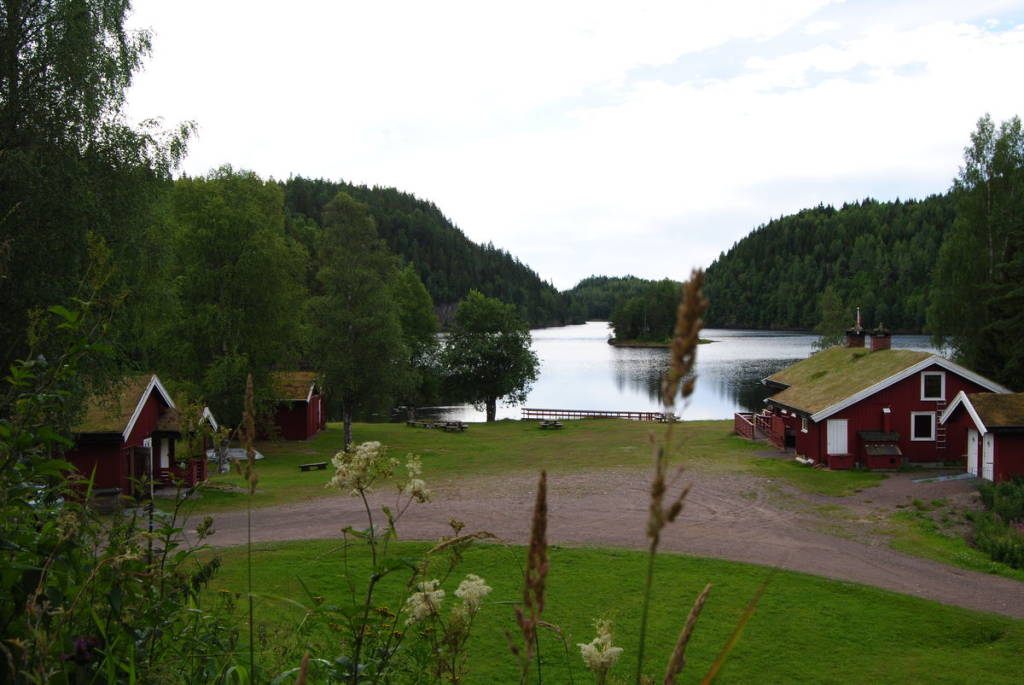 mainImage