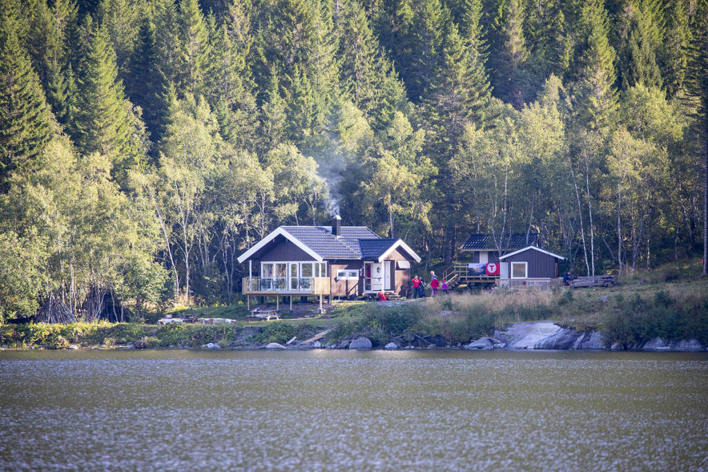 mainImage