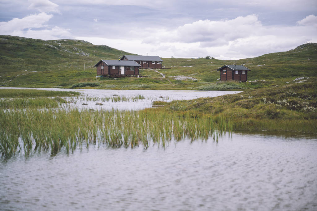 mainImage