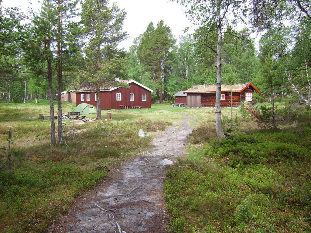 mainImage