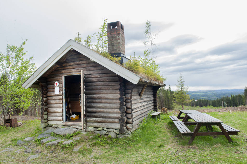 mainImage