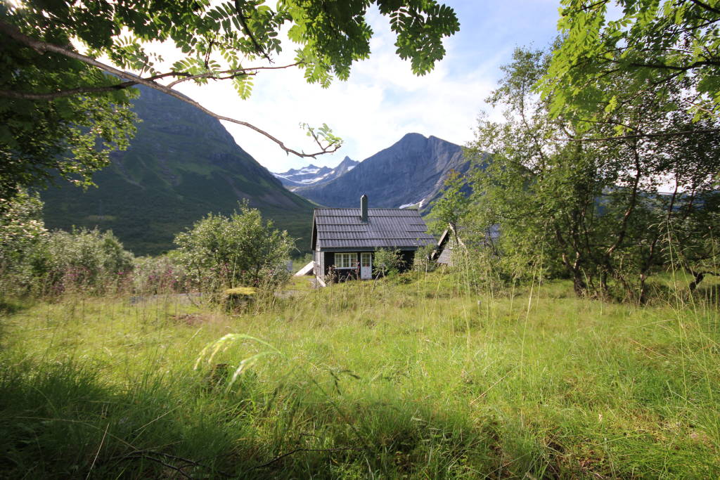 hovedbilde