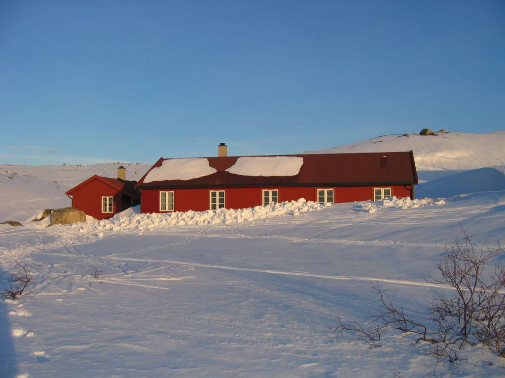 mainImage