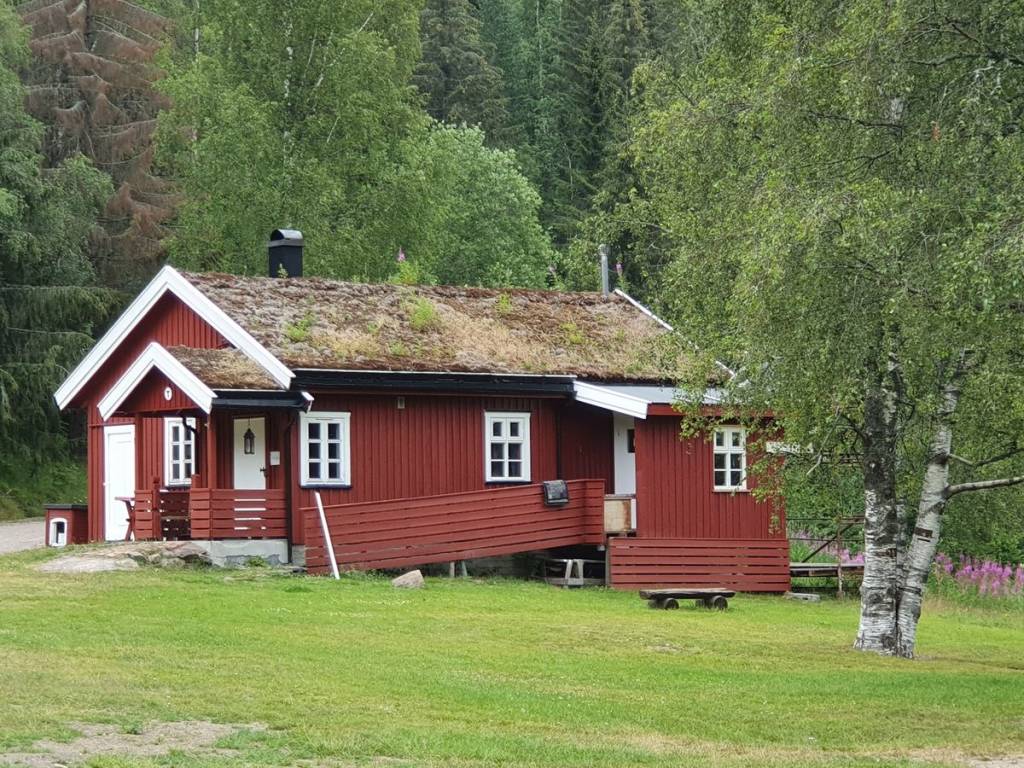 mainImage