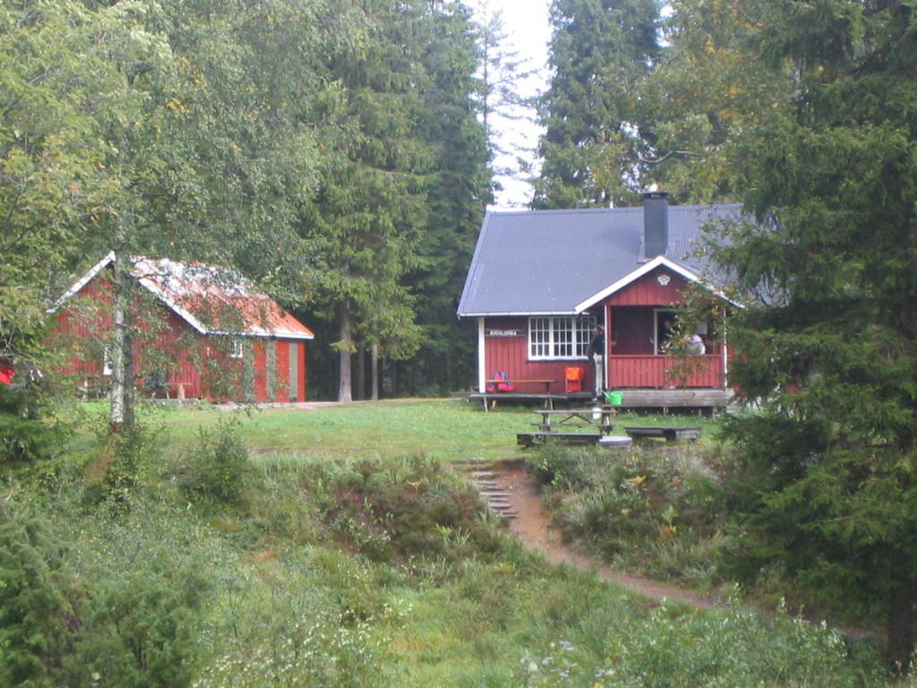 mainImage
