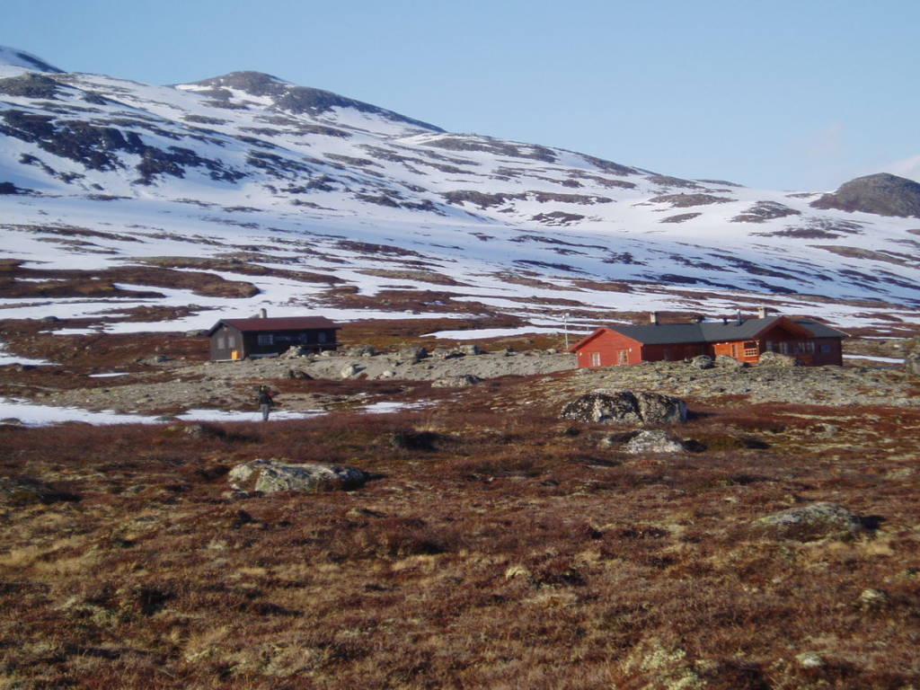 mainImage