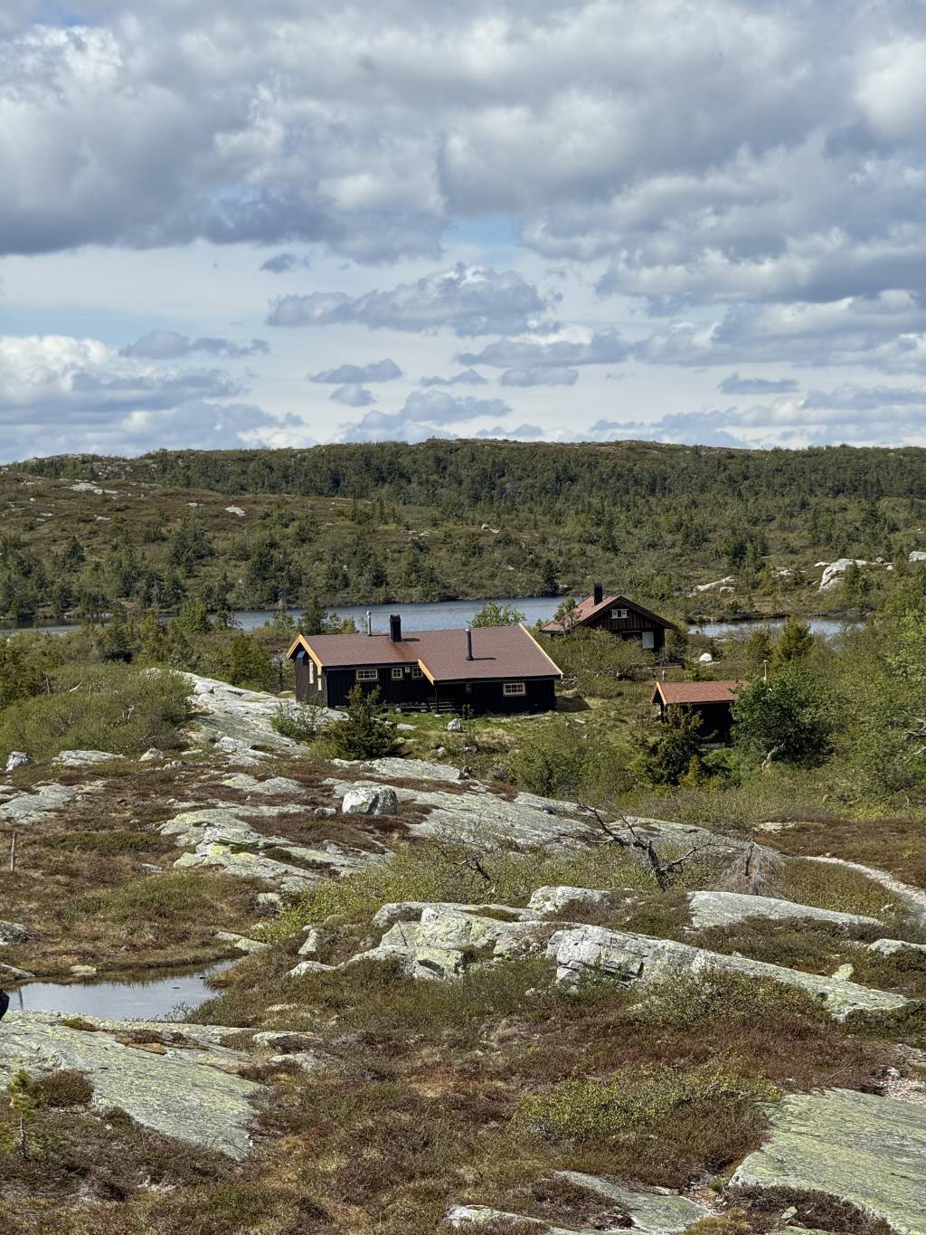 mainImage