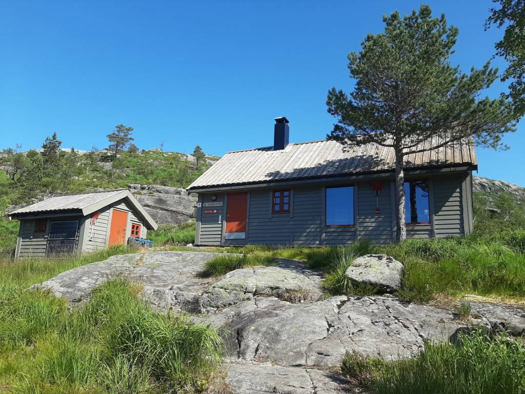 hovedbilde