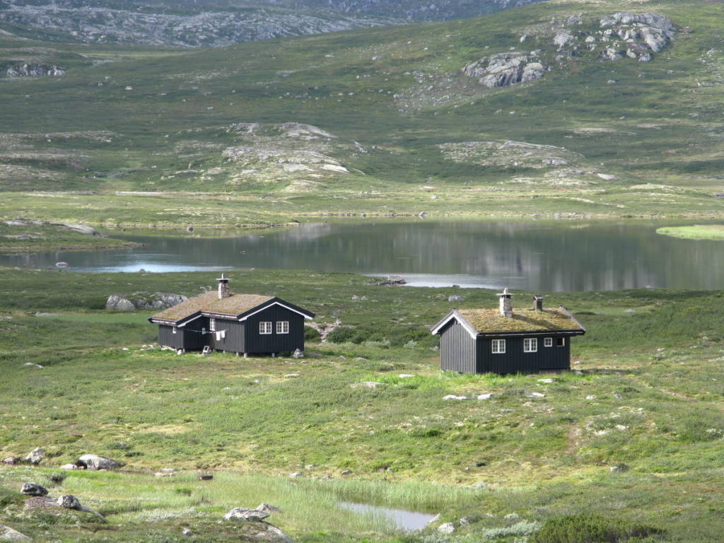 mainImage