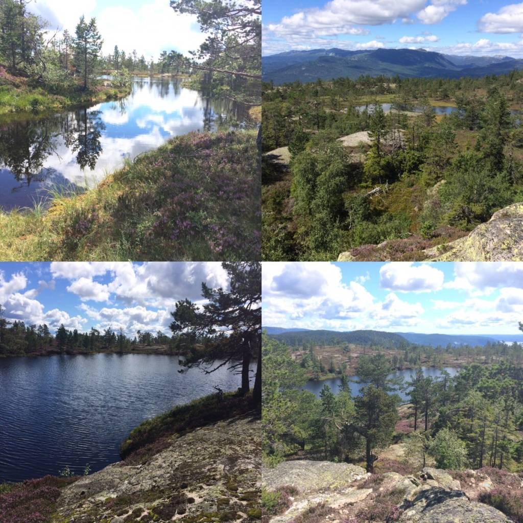 Flotte turer i Midt-Telemark!