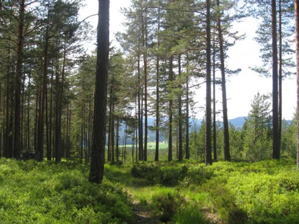 Flotte turer i Midt-Telemark!