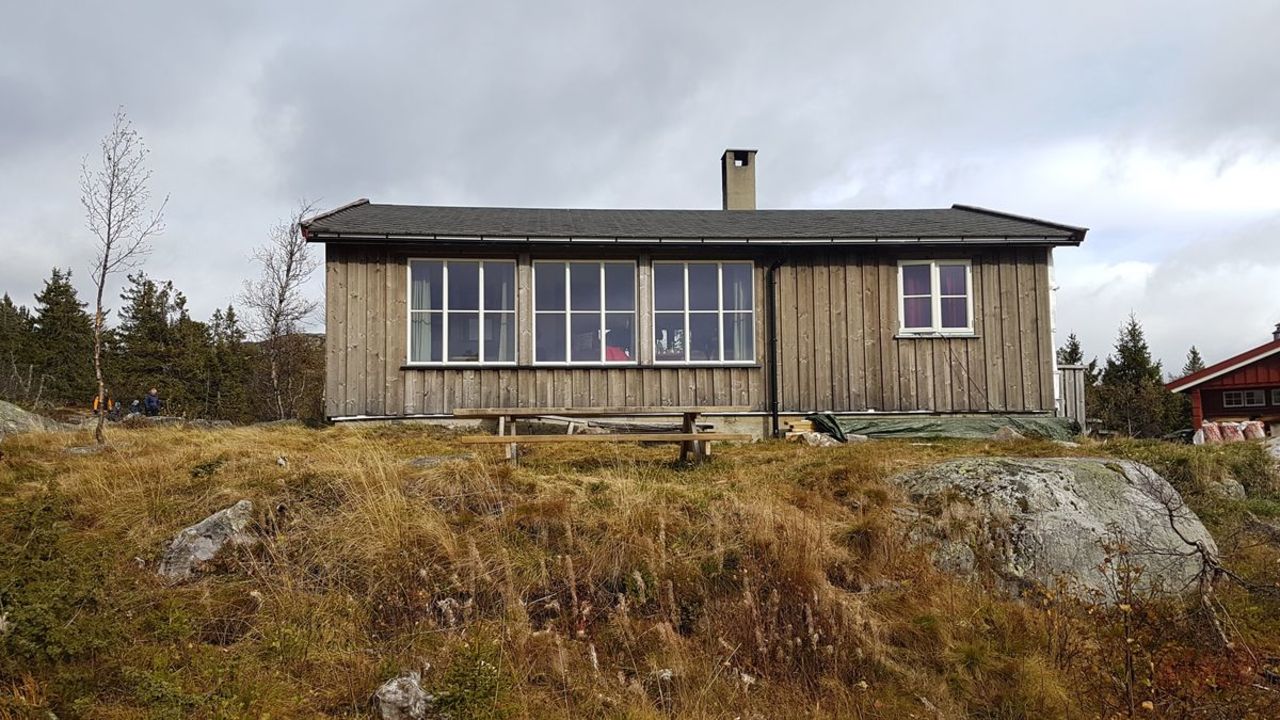 Daggrø | UT.no