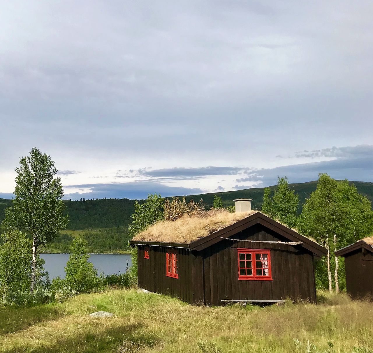 Reinsjøbua