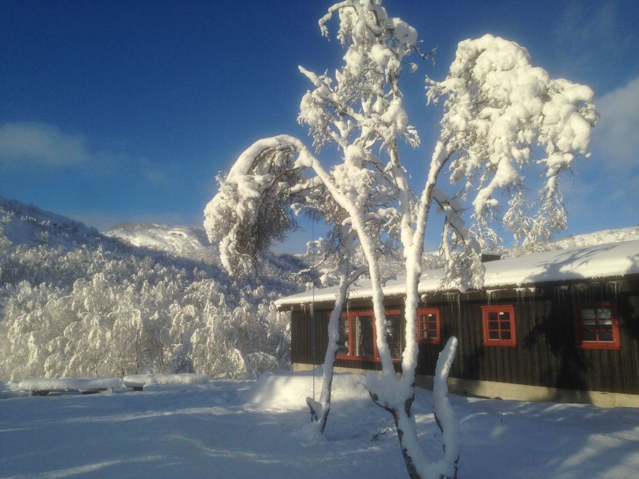 Ådneram turisthytte | UT.no