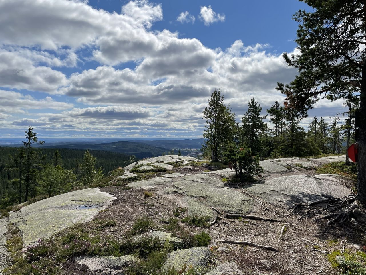 Rundkollen | UT.no