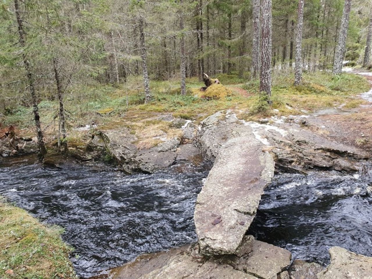 Rundtur i Bokkedalen | UT.no