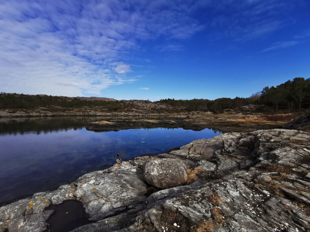 Rundtur på Tyssøy | UT.no