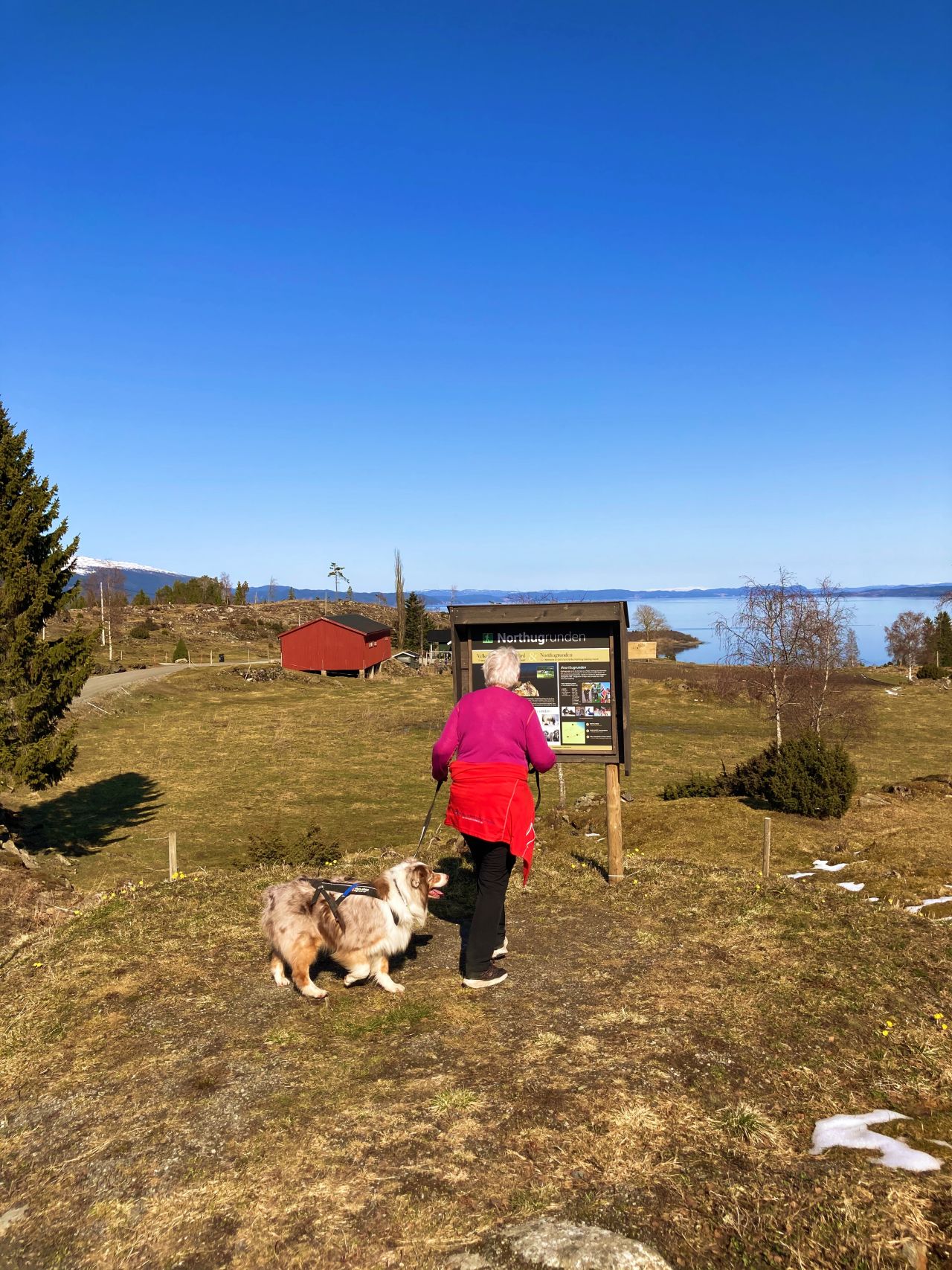 Northugrunden | UT.no
