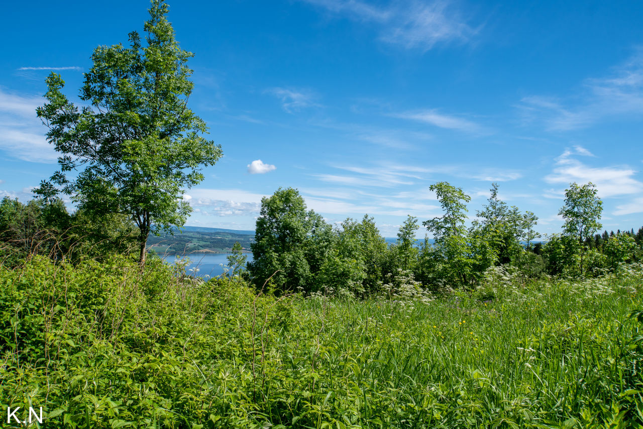 Utsiktstur i Nordlia | UT.no