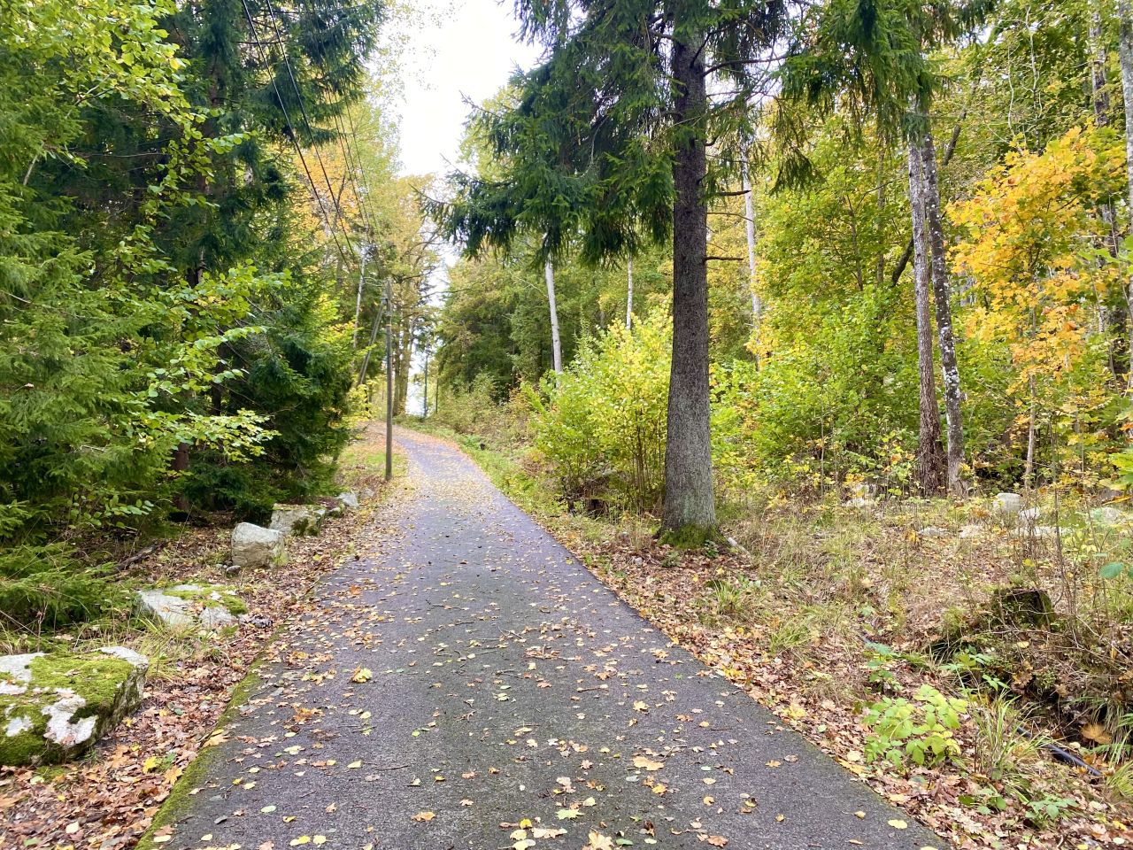 Kjerringvik til Kjerringfjellet | UT.no