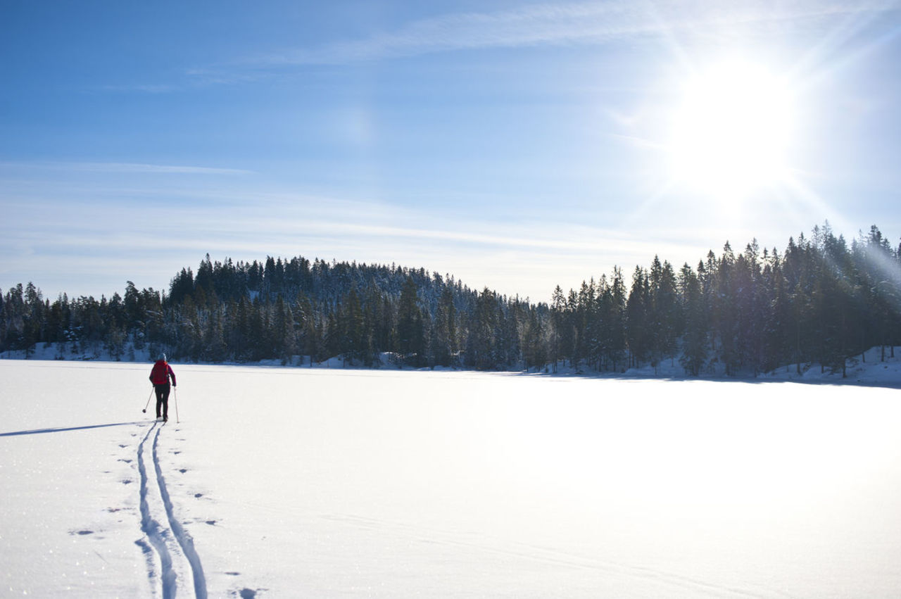 Skitur «Østmarka på langs» | UT.no