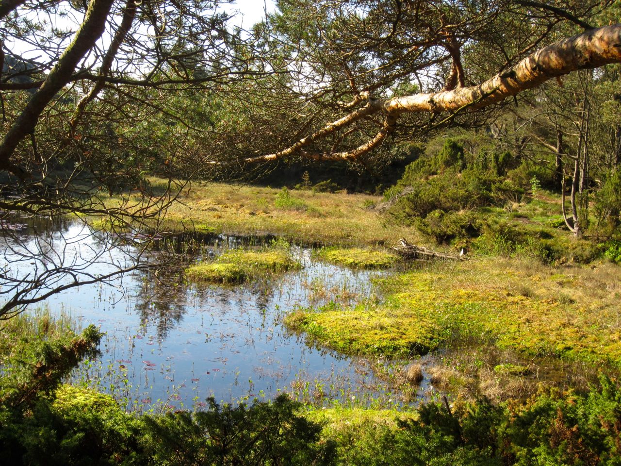 Rambaskårsfjellet