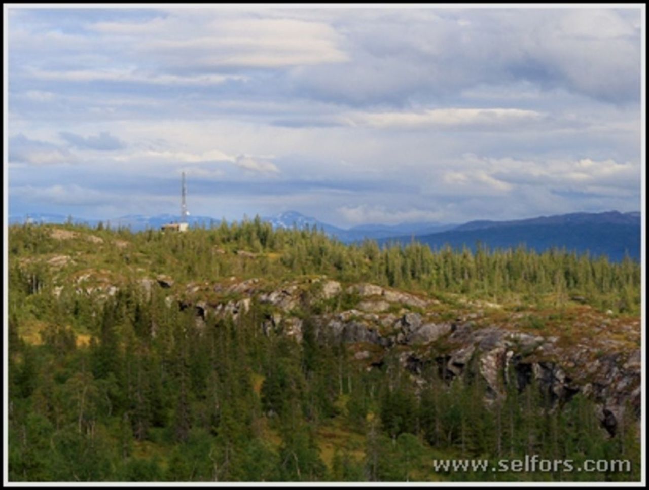 Utsikt over Kvitbergan og Storhaugen sett fra nord