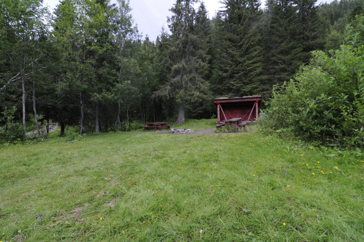 På Varmosletta finnes både bålplasser, gapahuker og sittebenker