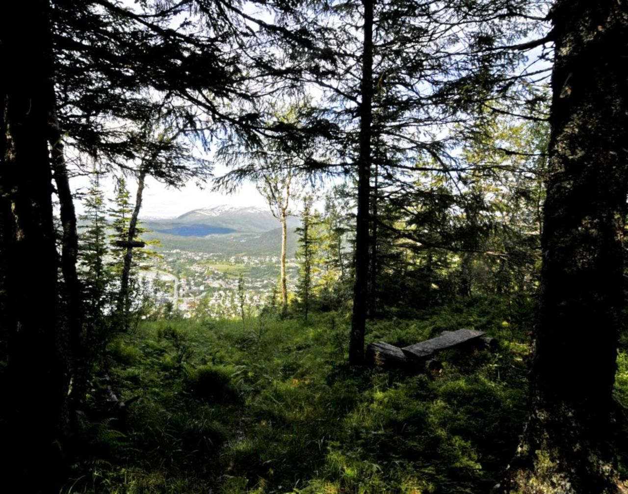 Når man kommer frem til Tjuvtrappa så ser man benken man kan hvile på og utsikten, her over Ytteren og Båsmo