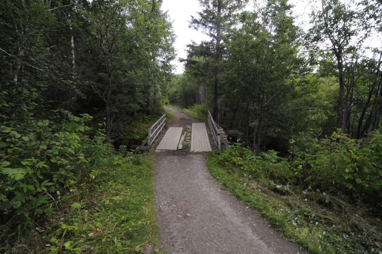 Man går over en liten bru, kanskje møter man bukkene bruse$1