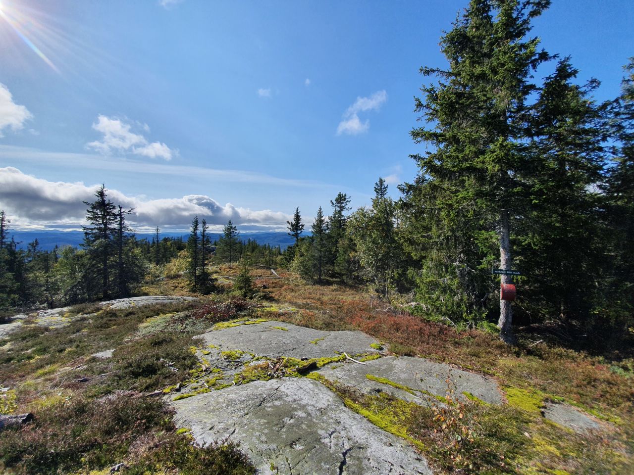 Vardefjell